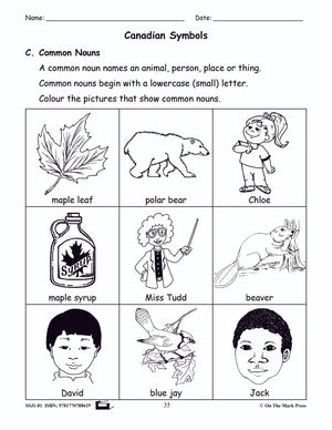 Canadian Symbols Reading Lesson Gr. 1