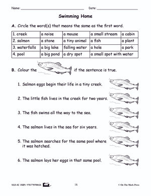 Swimming Home Reading E-Lesson Plan Grade 2