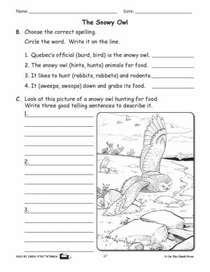 The Snowy Owl Writing & Spelling E-Lesson Plan Grade 2
