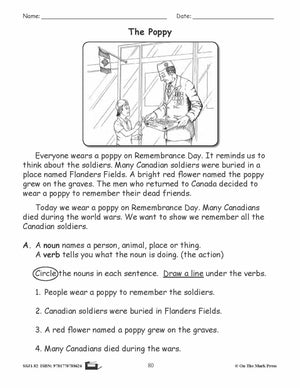 The Poppy Grammar E-Lesson Plan Grade 2