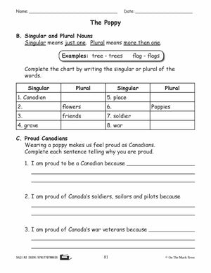 The Poppy Grammar E-Lesson Plan Grade 2