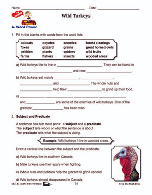 Wild Turkeys Reading E-Lesson Plan Grade 3