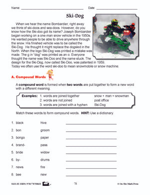 Ski-Dog Writing & Grammar E-Lesson Plan Grade 3