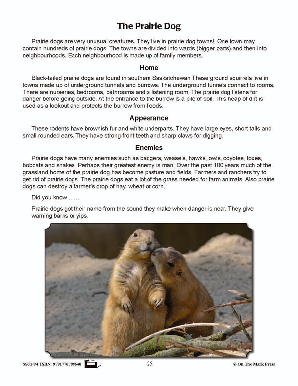 The Prairie Dog Reading and Phonics Skills Lesson Grade 4