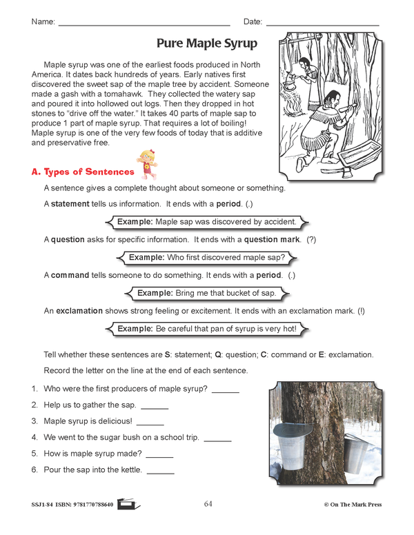 Pure Maple Syrup Writing and Grammar Worksheets (types of sentences) G