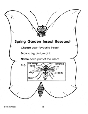 Spring in the Garden: Animals, Flowers, Insects, Birds activity centers. Gr 1-2