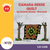 The Canada Goose Quilt Lit Link/Novel Study Grades 4-6