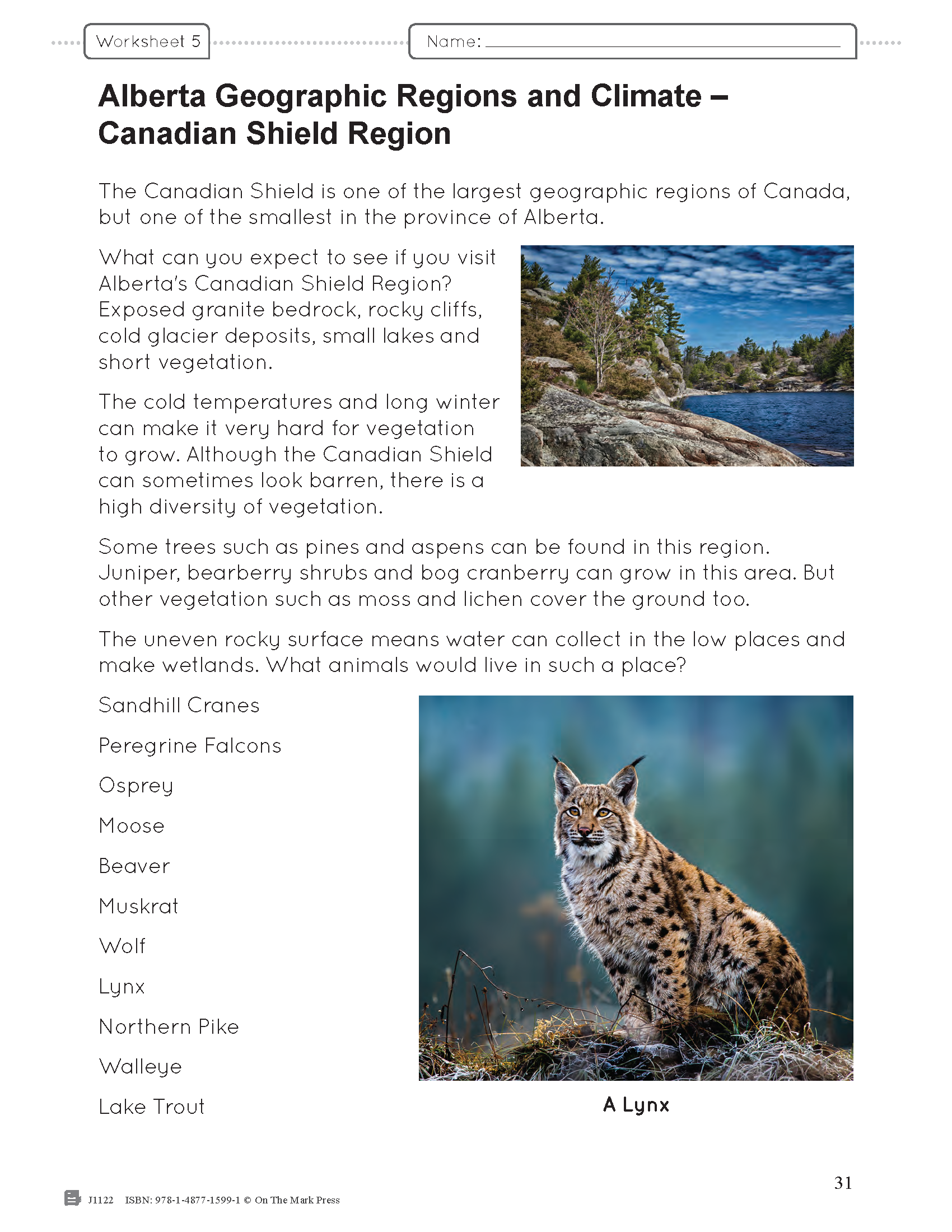 Alberta Grade 4 Science & Social Studies Bundle!