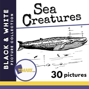 Sea Creatures Black & White Picture Collection Grades 1-8