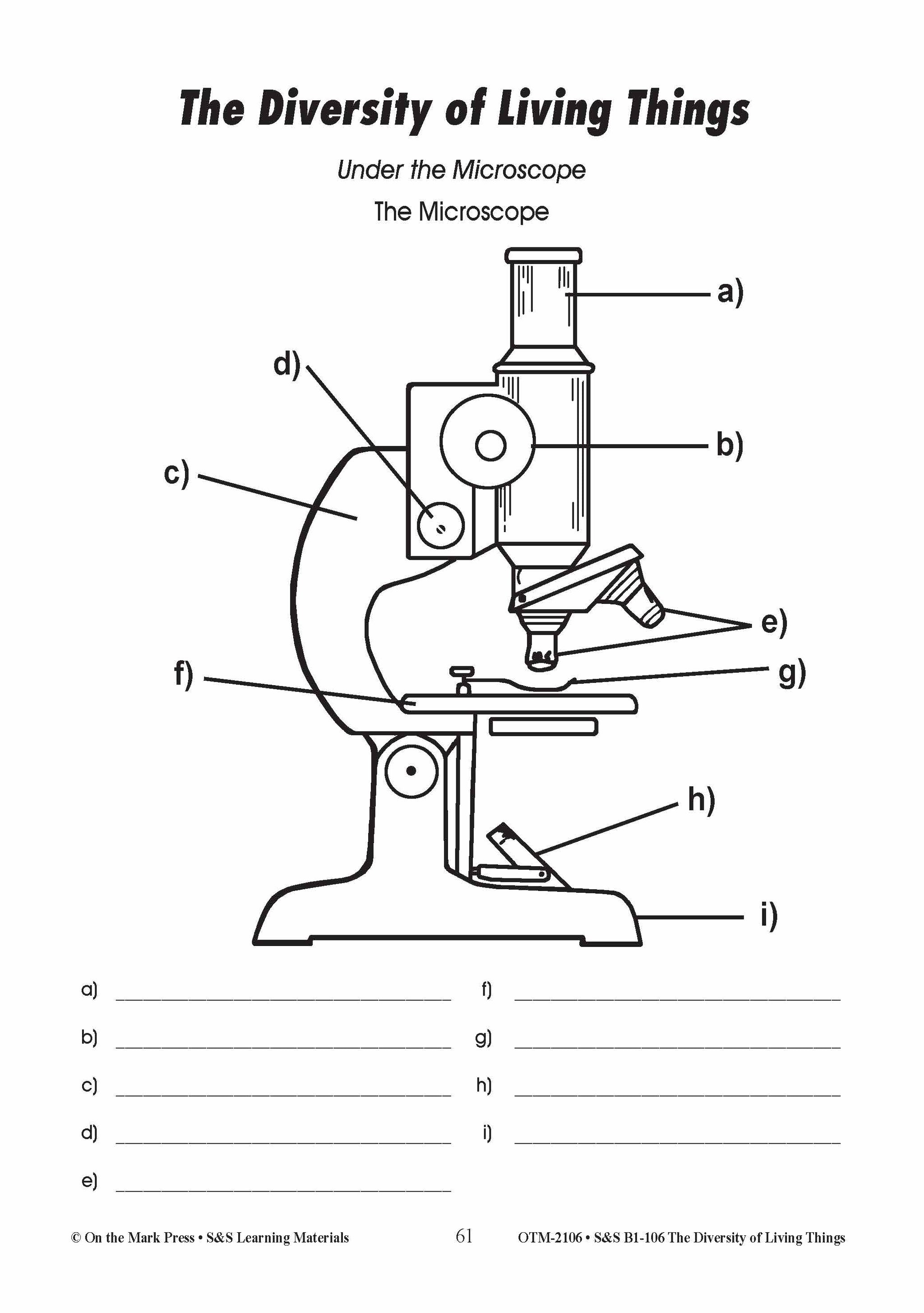 Microscope Grade 4 The Microscope Lesson Plan Grades 4-6
