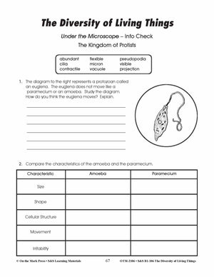 The Kingdom of Protists Lesson Plan Grades 4-6