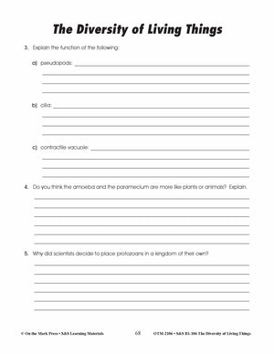 The Kingdom of Protists Lesson Plan Grades 4-6