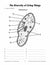 The Kingdom of Protists Lesson Plan Grades 4-6