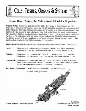 Prokaryotic Cells Lesson Grades 7-8
