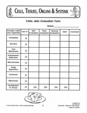 Cello Jell-O Lesson Grades 7-8