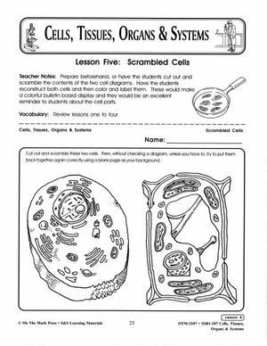 Scrambled Cells Lesson Grades 7-8