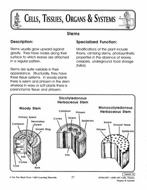 What's special about plants?  Lesson Grades 7-8