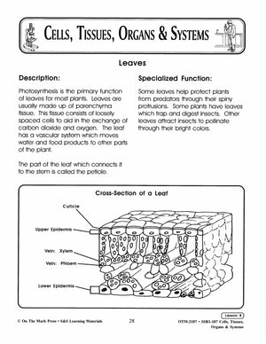 What's special about plants?  Lesson Grades 7-8