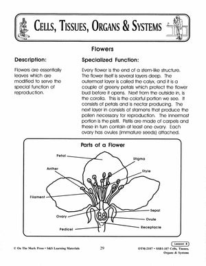 What's special about plants?  Lesson Grades 7-8