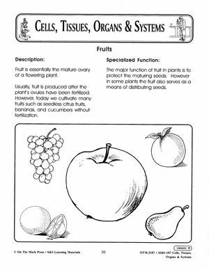 What's special about plants?  Lesson Grades 7-8