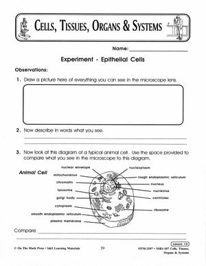 The Microscope Lesson Grades 7-8