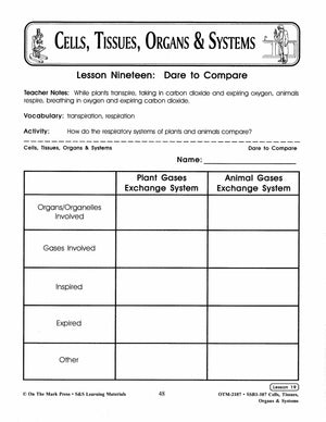 Dare to Compare the Respiratory Systems of Plants & Animals Lesson Grades 7-8