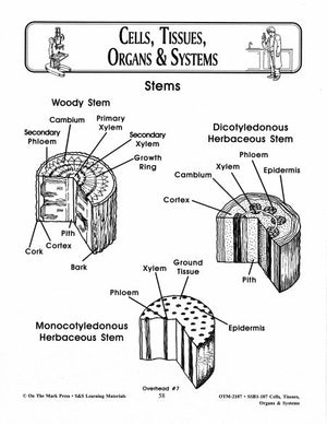 Cells, Tissues, Organs & Systems Diagrams Grades 7-8