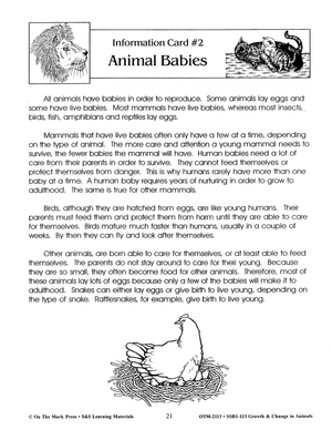 Animal Babies Lesson Grades 2-3