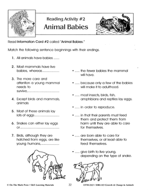 Animal Babies Lesson Grades 2-3