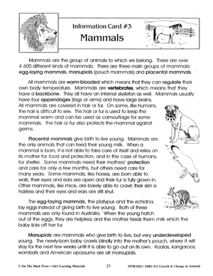 Mammals Lesson Grades 2-3