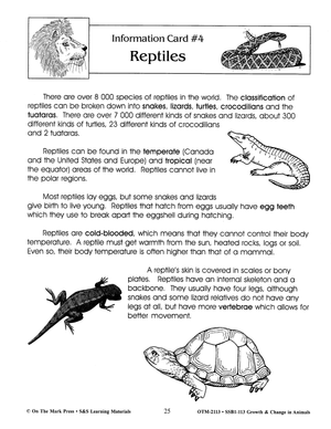 Reptiles Lesson Grades 2-3