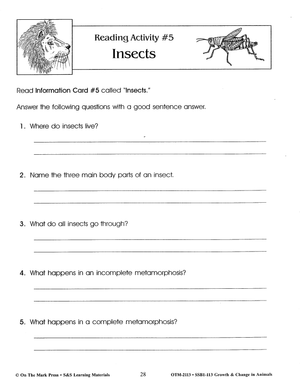 Insects Lesson Grades 2-3