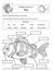 Fish Lesson Grades 2-3