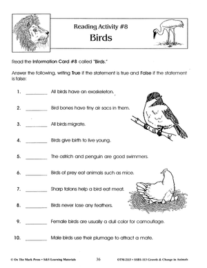 Birds Lesson Grades 2-3