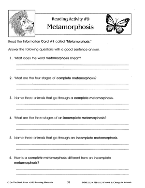 Metamorphosis Lesson Grades 2-3