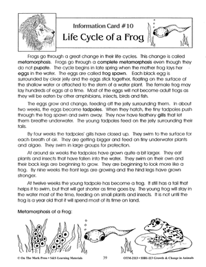 Life Cycle of a Frog Lesson Grades 2-3