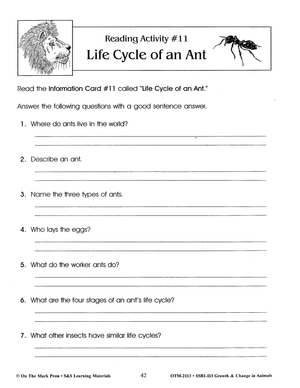 Life Cycle of an Ant Lesson Grades 2-3