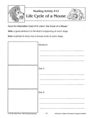 Life Cycle of a Mouse Activity Grades 2-3
