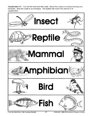 What Kind of Animal is it?  Classification Activity Grades 2-3