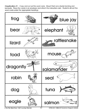 What Kind of Animal is it?  Classification Activity Grades 2-3