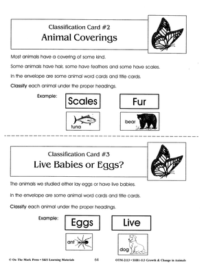 Animal Coverings Classification Activity Grades 2-3