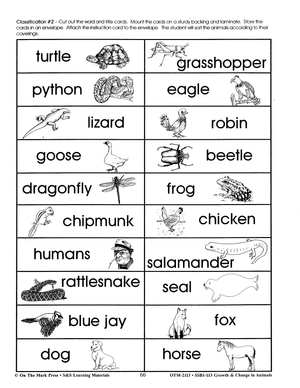 Animal Coverings Classification Activity Grades 2-3