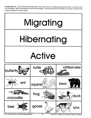 Migrating, Hibernating and Active Animals Classification Activity Grades 2-3