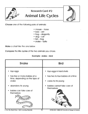 Life Cycle Research Cards Lesson Grades 2-3