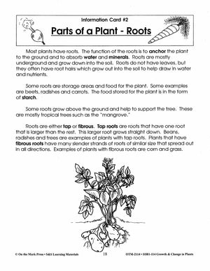 Parts of a Plant - Roots Lesson Grades 2-3