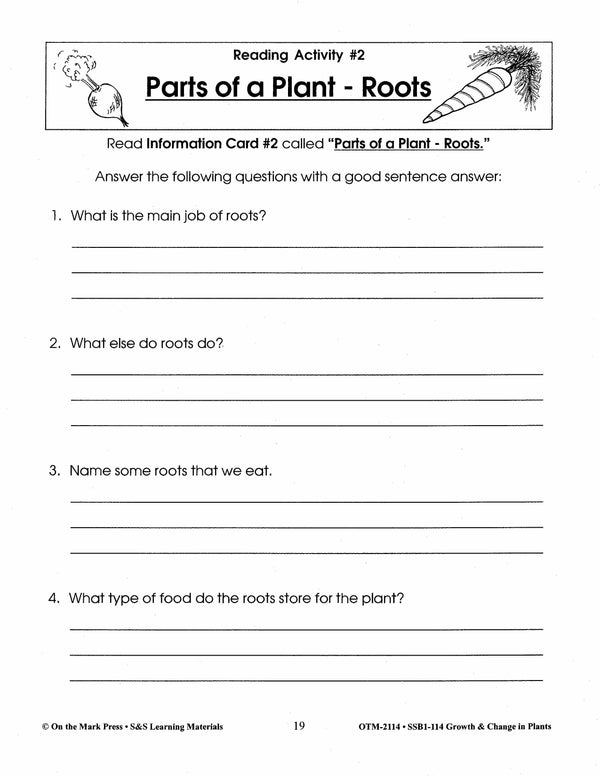 Perfect Plant Root Worksheet.pdf Parts of a Plant - Roots Lesson Grades 2-3