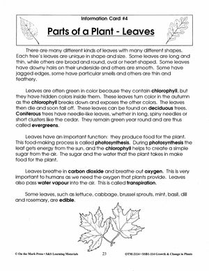 Parts of a Plant - Leaves Lesson Grades 2-3