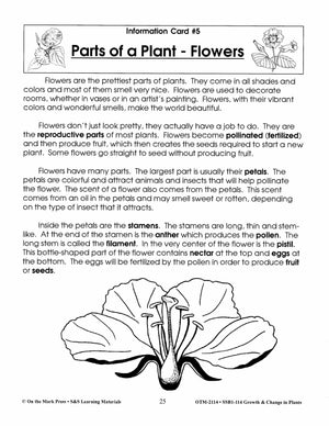Parts of a Plant - Flowers Lesson Grades 2-3