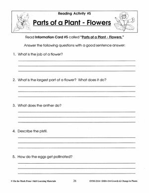Parts of a Plant - Flowers Lesson Grades 2-3