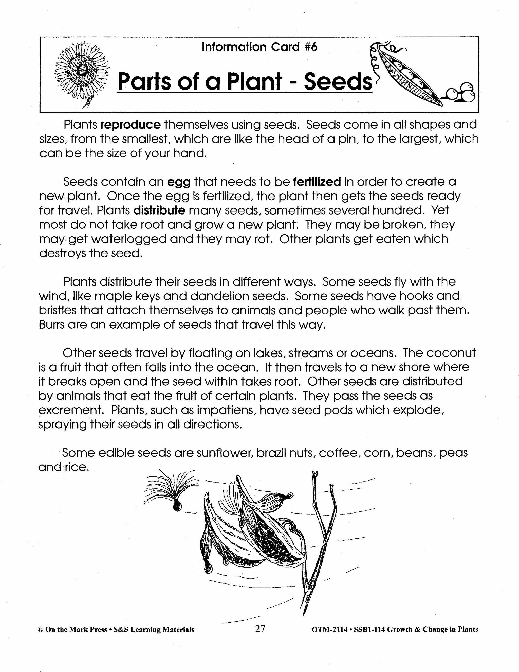 facts about seed plants Parts of a Plant